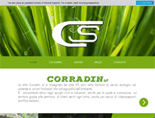 Tablet Screenshot of corradinsrl.com